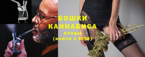 хмурый Белокуриха