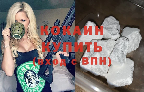 хмурый Белокуриха