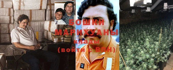хмурый Белокуриха