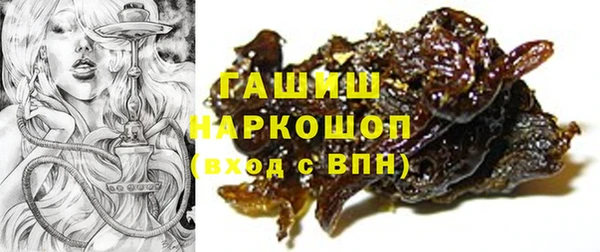 хмурый Белокуриха