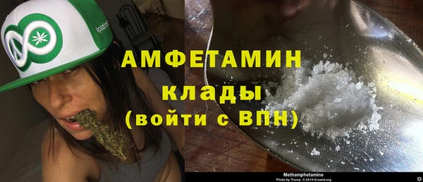 хмурый Белокуриха