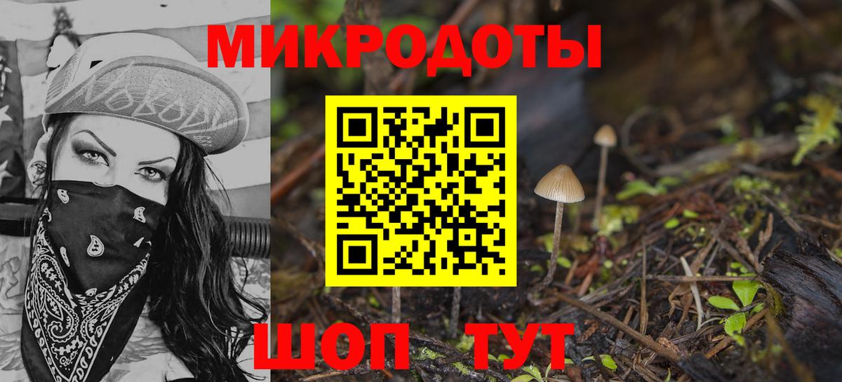 Галлюциногенные грибы прущие грибы  Вход с VPN  Псилоцибиновые грибы MAGIC MUSHROOMS  Гусев 