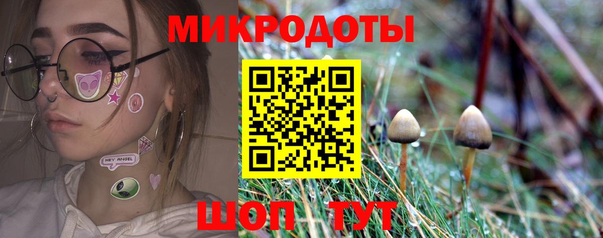 Галлюциногенные грибы мухоморы Гусев